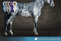 Horse Color:ERROR: UNKNOWN ANOMALY and ERROR: UNKNOWN ANOMALY