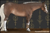 Horse Color:White Spotted Liver Chestnut Mushroom 