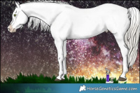 Horse Color:Silver Smoky Black Splash Tobiano Appaloosa