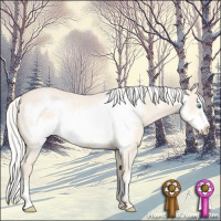 Horse Color:Silver Perlino Roan Frame 