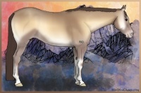 Horse Color:Classic Champagne Onyx 