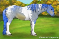 Horse Color:Watercolor Bay Tobiano 