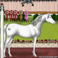 Horse Color:Cremello Leopard 