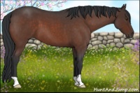Horse Color:Brown Roan