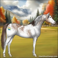 Horse Color:White Spotted Liver Red Dun 