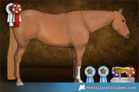 Horse Color:Chestnut 