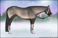 Horse Color:Blue Onyx 