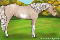 Horse Color:Silver Blue Roan Pearl Tobiano Frame 