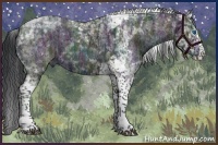 Horse Color:Platinum Midnight Black Ice Splash Tobiano 