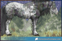 Horse Color:Platinum Midnight Black Ice Splash Tobiano 