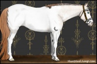 Horse Color:White Spotted Buckskin Pearl Near Fewspot 