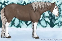 Horse Color:Silver Black Splash