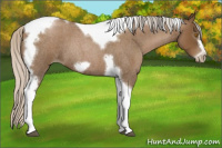 Horse Color:Gray Silver Blue Roan Pearl Tobiano Frame 
