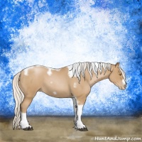 Horse Color:Silver Blue Roan Pearl Tobiano Frame 