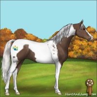 Horse Color:Silver Black Tobiano