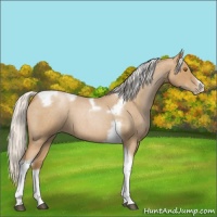Horse Color:Silver Blue Roan Pearl Tobiano Frame 