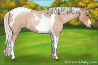 Horse Color:Silver Blue Roan Pearl Tobiano Frame 