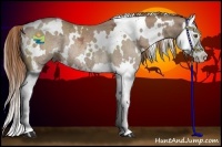 Horse Color:White Spotted Chestnut Ice Splash Rabicano 