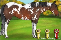 Horse Color:White Spotted Brown Tobiano 