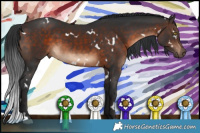 Horse Color:White Spotted Brown