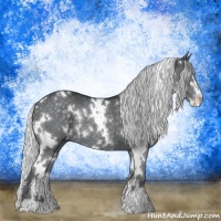 Horse Color:White Spotted Silver Black Chinchilla Sabino Rabicano