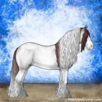 Horse Color:Chocolate Brown Chinchilla Sabino Tobiano Rabicano 