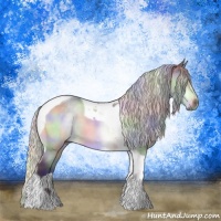 Horse Color:Nacre Silver Brown Chinchilla Tobiano Rabicano