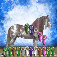 Horse Color:Nacre White Spotted Chocolate Black Chinchilla Ice Sabino