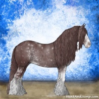 Horse Color:Chocolate Black Chinchilla Sabino Rabicano