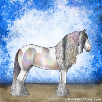 Horse Color:Nacre Bay Chinchilla Sabino Tobiano Rabicano 