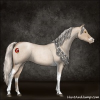 Horse Color:Silver Grullo Roan Pearl Tobiano Frame 