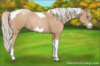 Horse Color:Silver Blue Roan Pearl Tobiano Frame 