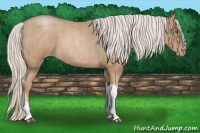 Horse Color:Silver Blue Roan Pearl Tobiano Frame 