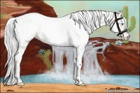Horse Color:Cremello Dun 