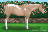 Horse Color:Silver Blue Roan Pearl Tobiano Frame 