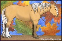 Horse Color:Silver Buckskin 