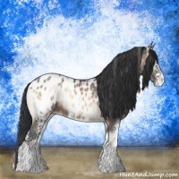 Horse Color:White Spotted Brown Ice Onyx Appaloosa Rabicano 