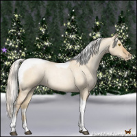 Horse Color:Silver Grullo Roan Pearl Tobiano Frame 