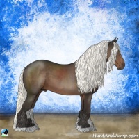 Horse Color:Liver Chestnut Mushroom 