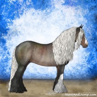 Horse Color:Liver Chestnut Mushroom Rabicano 