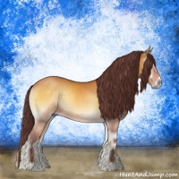 Horse Color:Chocolate Buckskin Onyx Sabino 