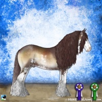 Horse Color:Chocolate Brown Onyx Sabino Rabicano