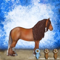 Horse Color:Chocolate Bay 