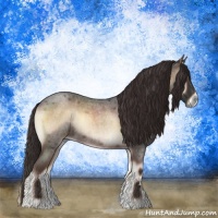 Horse Color:Liver Red Onyx Roan 
