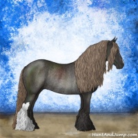 Horse Color:Liver Chestnut Rabicano