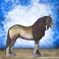 Horse Color:Nacre Brown Onyx Rabicano 