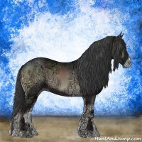 Horse Color:Blue Onyx Ice