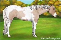 Horse Color:Silver Blue Roan Pearl Tobiano Frame