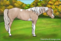 Horse Color:Silver Blue Roan Pearl Tobiano Frame 