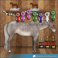 Horse Color:Silver Blue Roan 